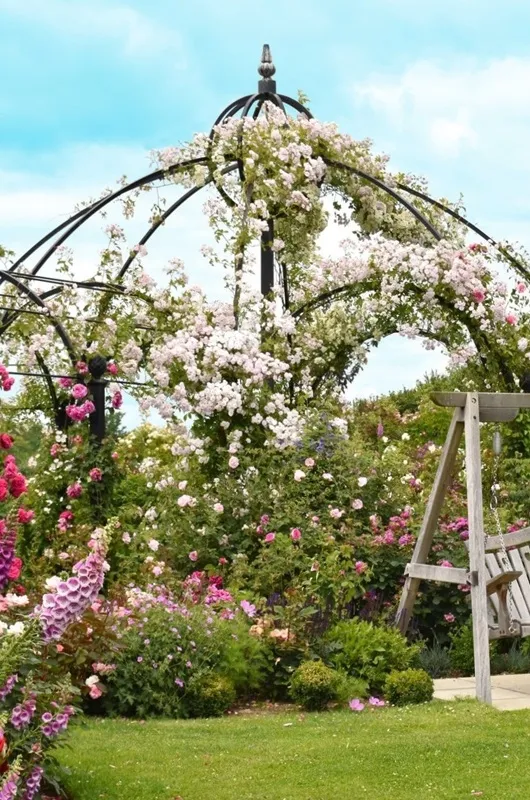 classic-garden-elements-peter-beales-rosenpavillon-metall-schwarz-kuppel image 1