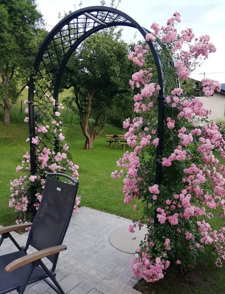 classic-garden-elements-portofino-rosenbogen-metall-152-cm image 1