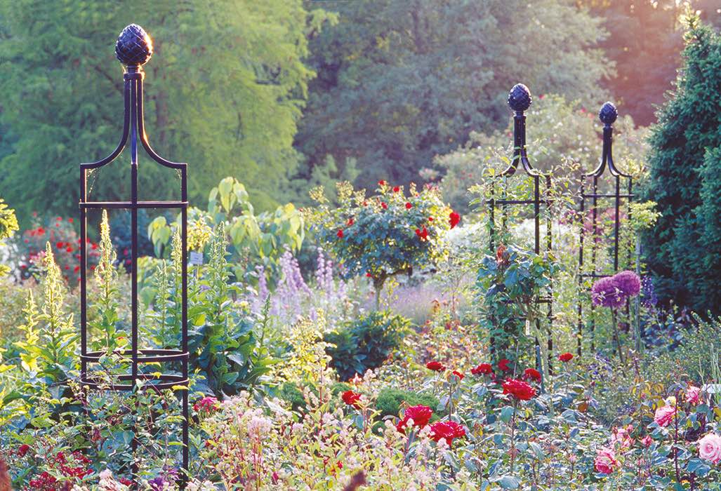 classic-garden-elements-rankobelisk-i-rankobelisk-metall-schwarz-230-cm image 3