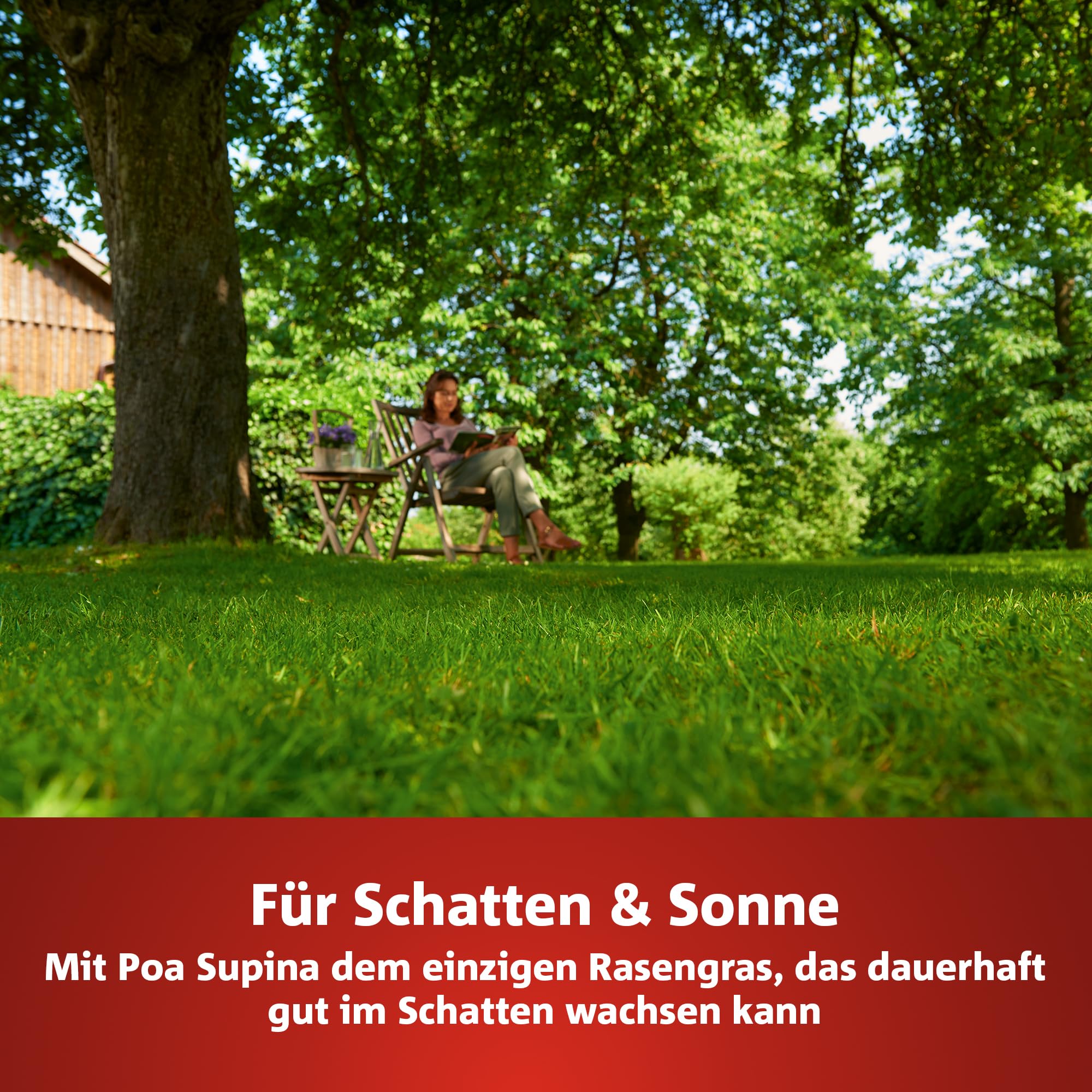 wolf-garten-schatten-sonne-premium-rasen-500g-f-r-25-m image 2