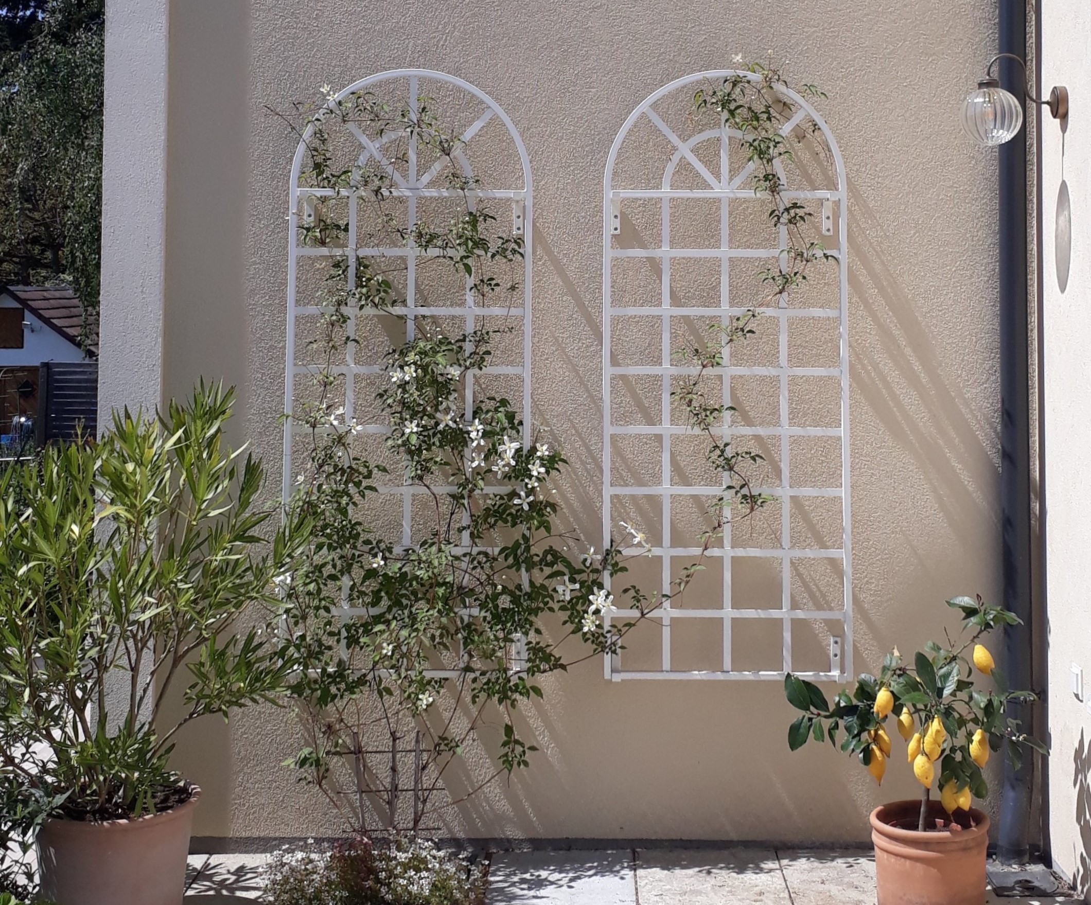 classic-garden-elements-clematis-spalier-wei-173-cm-ral-9016 image 5