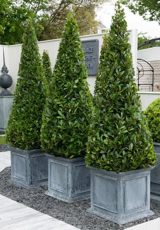 classic-garden-elements-englischer-pflanzk-bel-metall-grau-zink-patina image 7