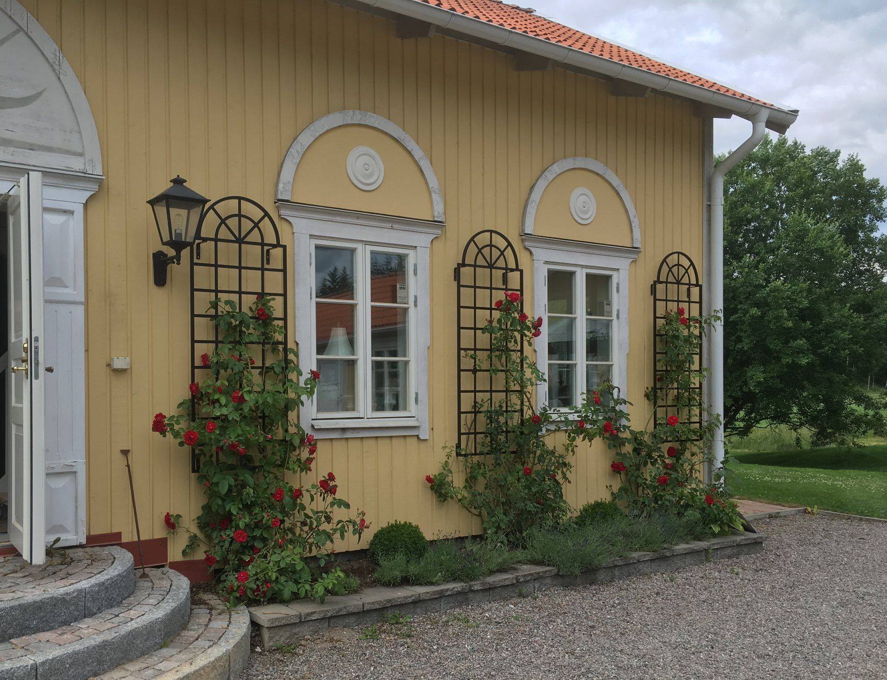 classic-garden-elements-orangerie-spalier-wandgitter-schwarz-metall image 3