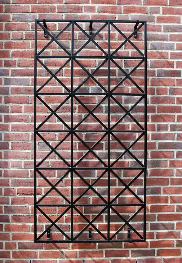 classic-garden-elements-ravenna-metallspalier-wand-100x200-schwarz image 1