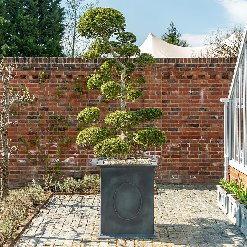 classic-garden-elements-windsor-pflanzk-bel-metall-rechteckig image 4