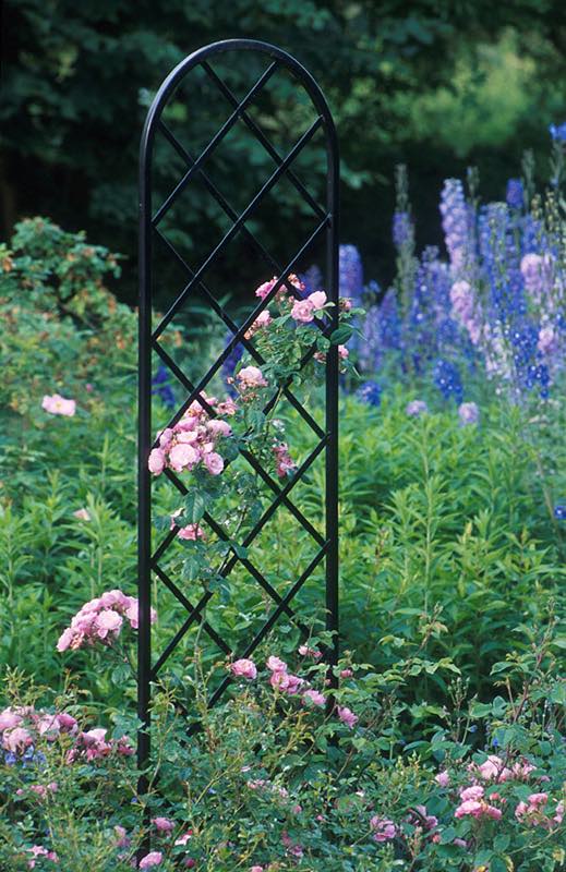 classic-garden-elements-beekman-rankhilfe-freistehend-schwarz-198-cm image 5